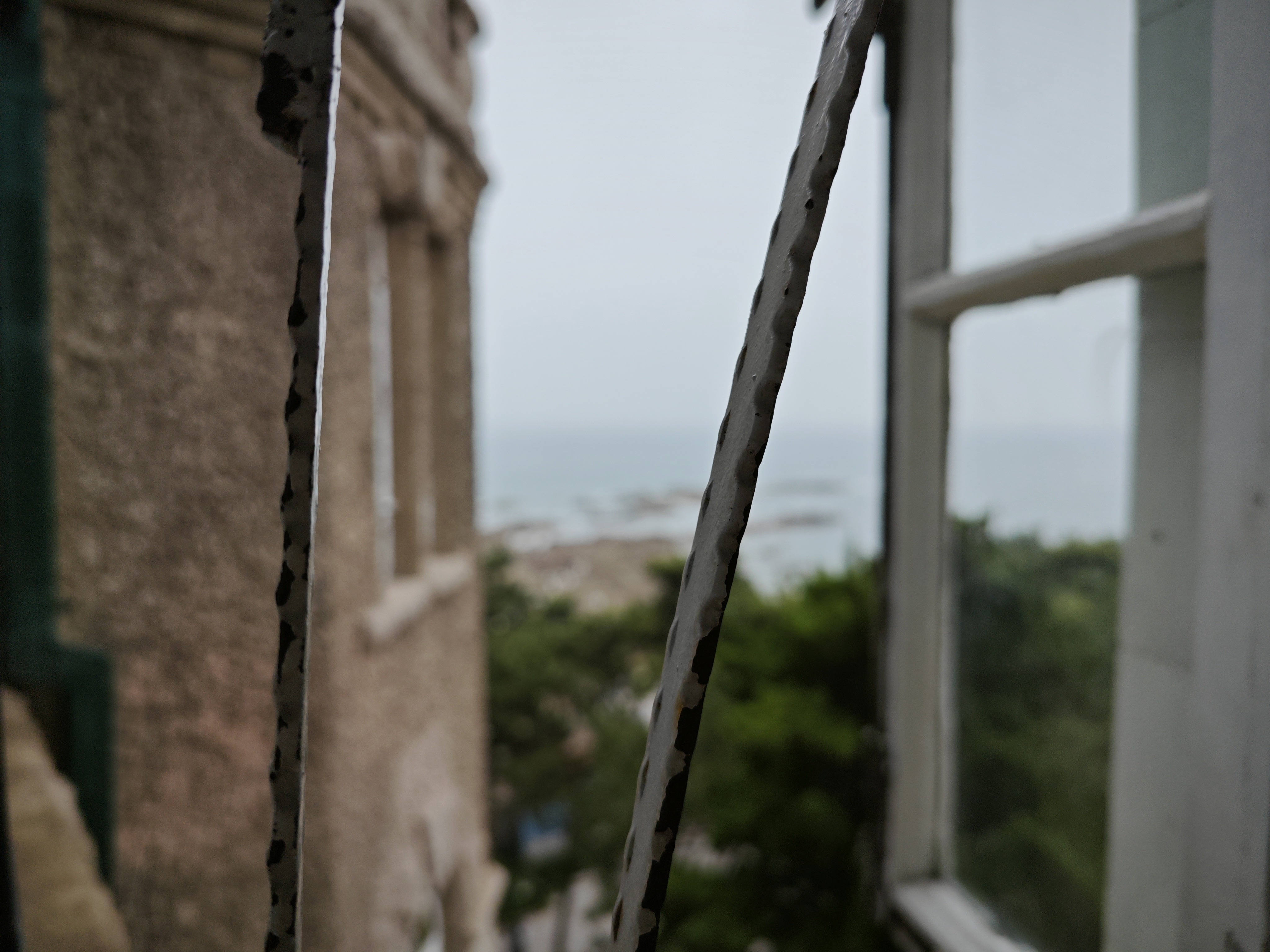 IMG_20230617_120819